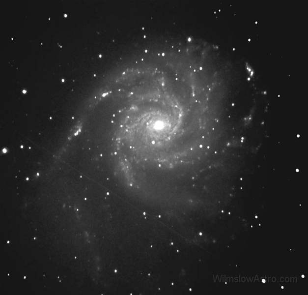 m101_030408.jpg -    Object:   M101     Date:   April 8th 2003     Instrument:   LX200 10" f/10 + 0.33 FR     Camera:   SXV-H9     Exposure:   15x 4 minutes     Filters:   Orion Skyglow     Comments:   Unguided with the f/3.3 FR @ f/3.7. Moon interfered and polar alignment out again! No flats this time, an experimental method failed. Not sure what the 'trail' is, it seems too slow for a low satellite - moving at 2 arcmin/minute  
