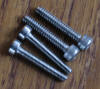 New and old motor screws